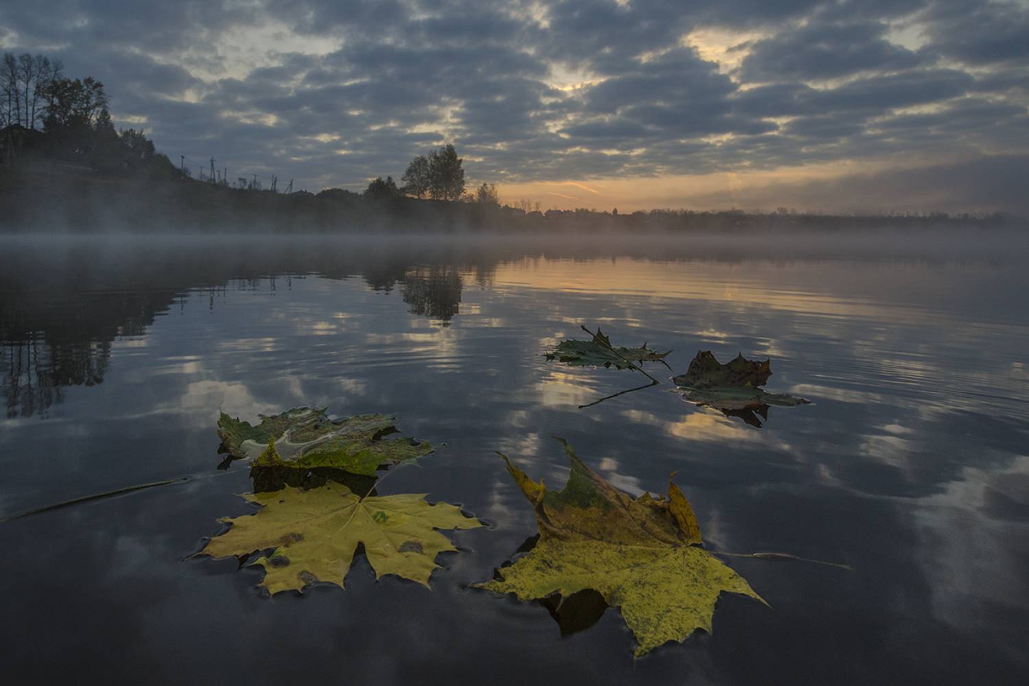 утро, рассвет, архангельское, Михаил Агеев