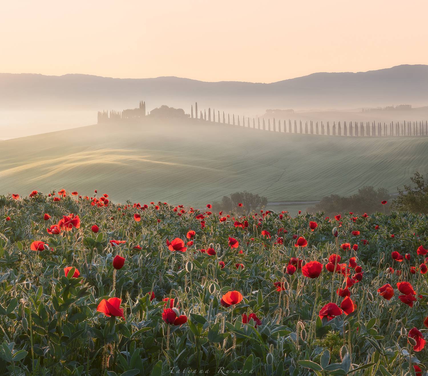 , Рунова Татьяна