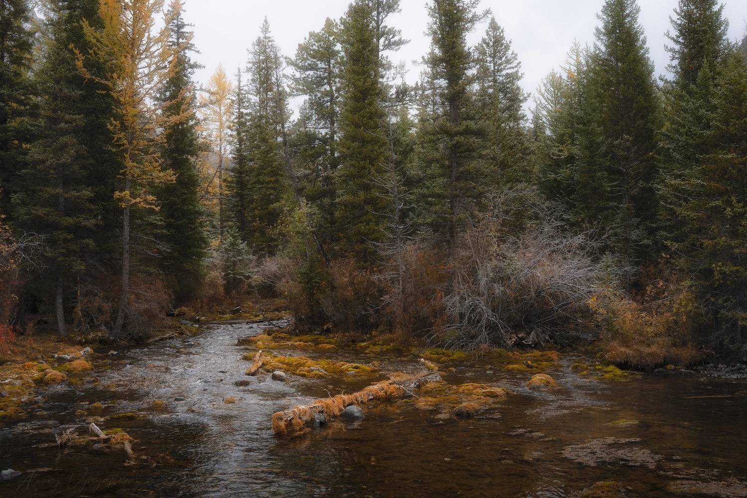 altay, autumn, river, green, yellow, landscape, moody, Алексей Вымятнин