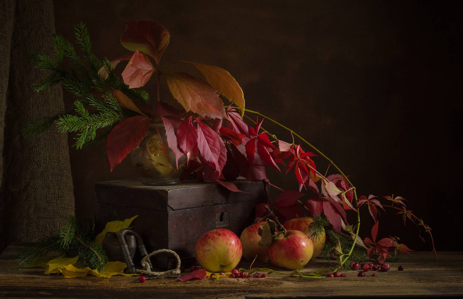 , Хвойнова Елена