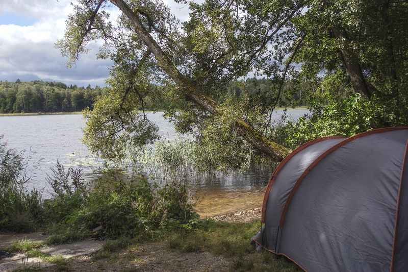 На берегу оз. Мариново фото превью