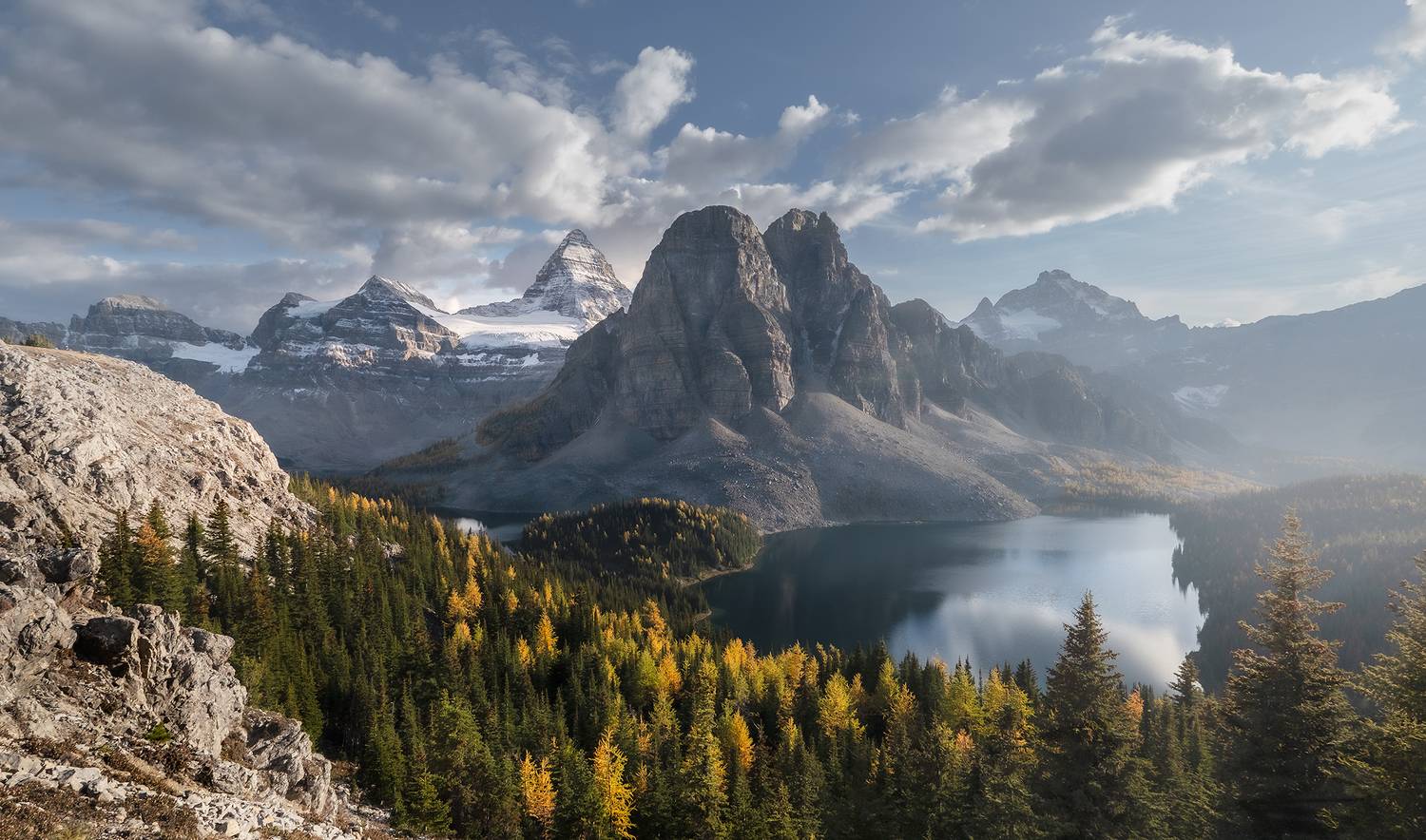 assiniboine, larch, Evgeny Chertov