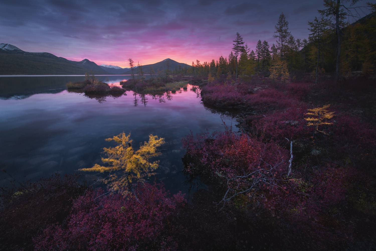 , Политова Анна