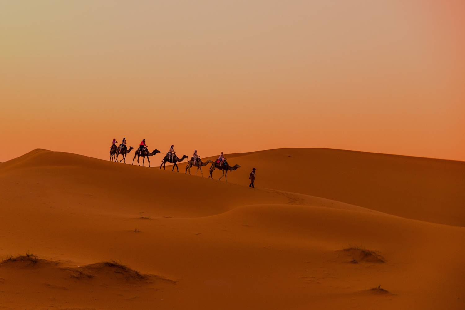 , Jose Pedrero Barrios