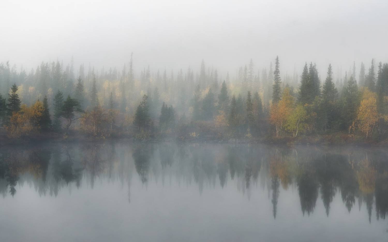 , Наталья Лабодина