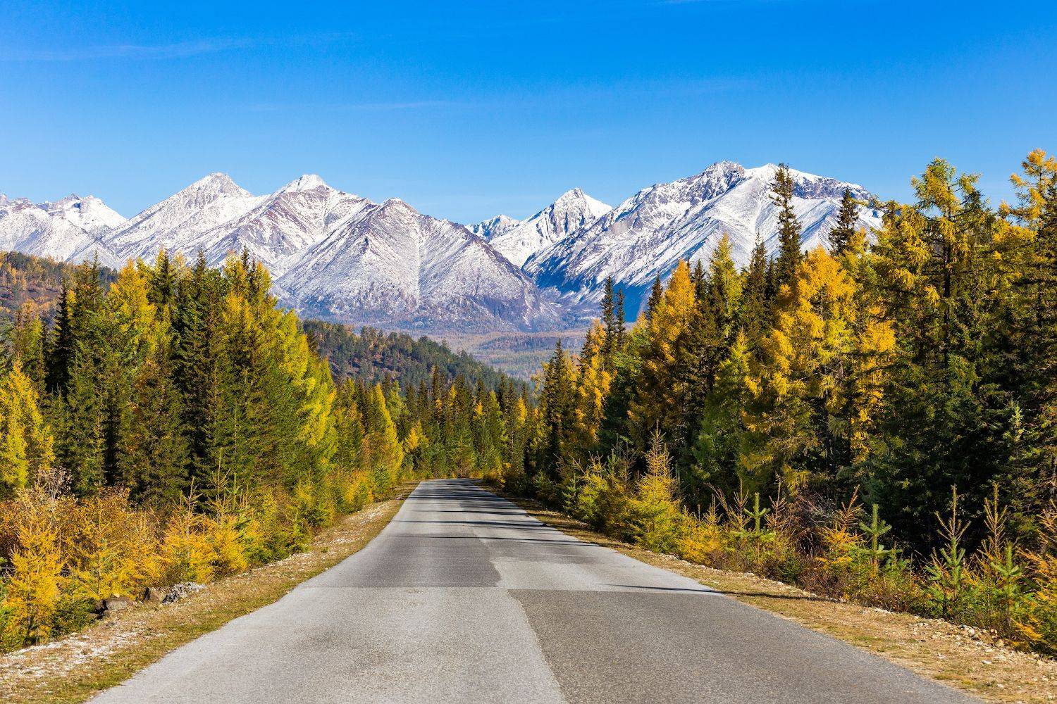 саяны, фототур. бурятия, иркутская область, иркут, нилова пустынь, аршан, Буянов Илья