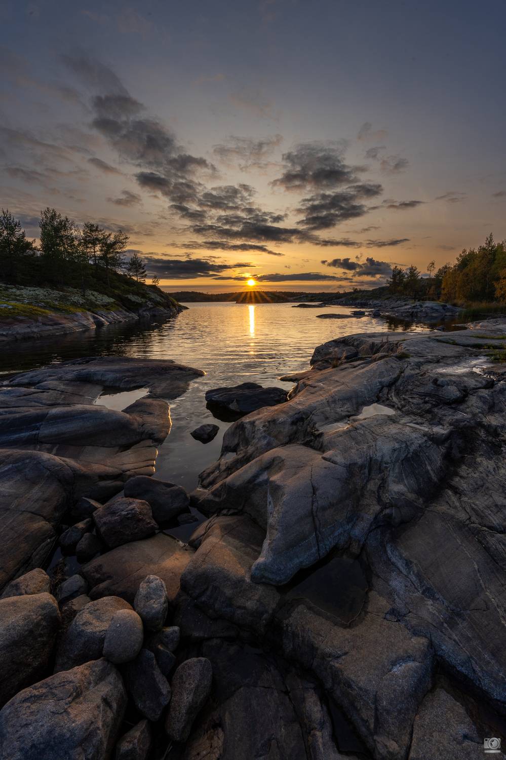 , Ковалев Дмитрий