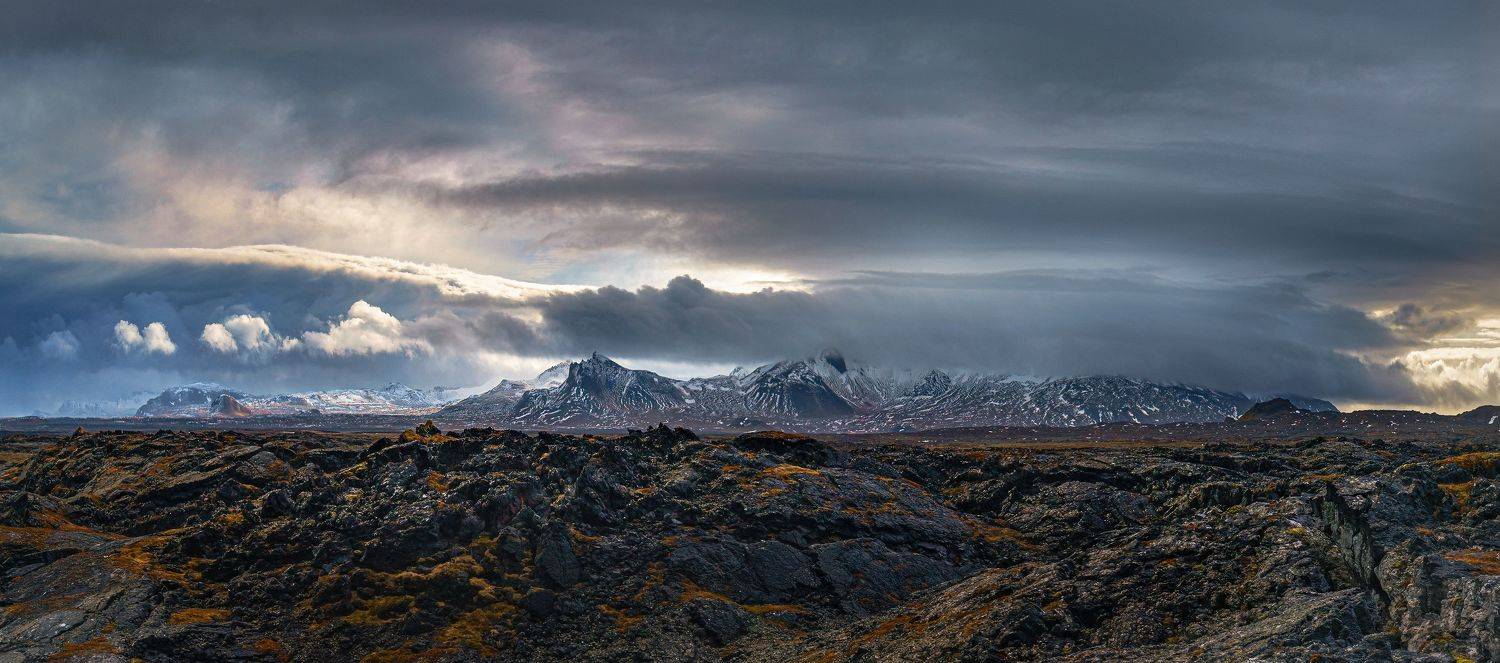 , Шварцман Евгений