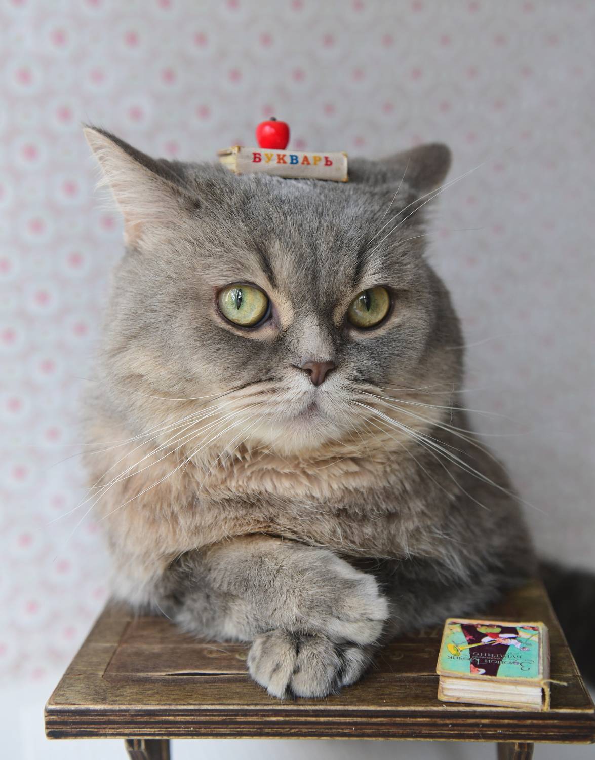 , Божена Пучко