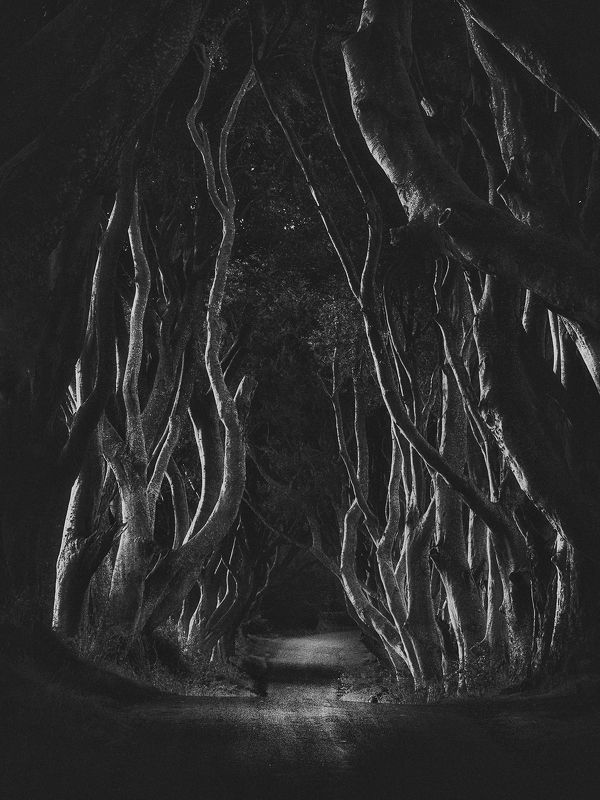 Dark edges фото превью