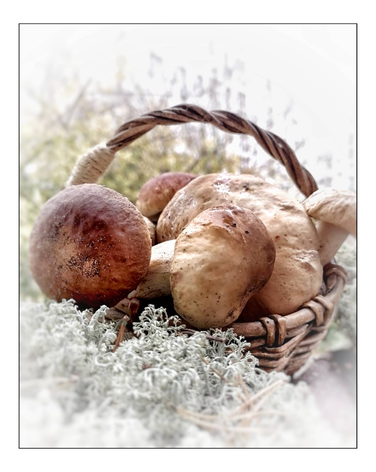 , Герасимова Алёна