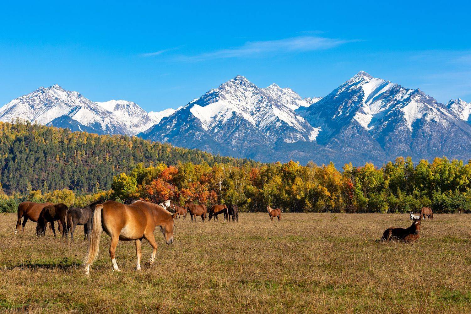 саяны, тункинская долина, Буянов Илья