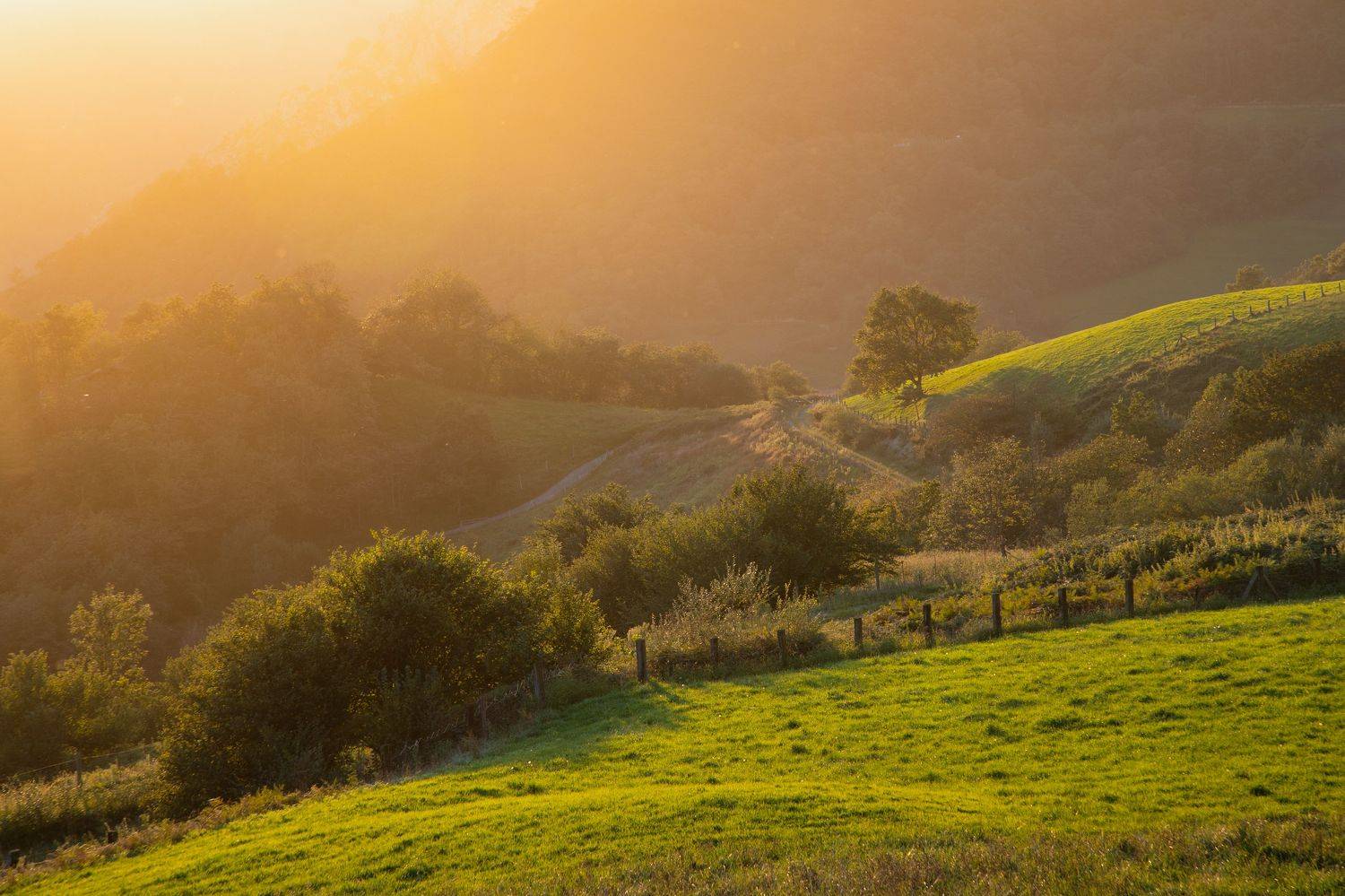 , Алекс Римский