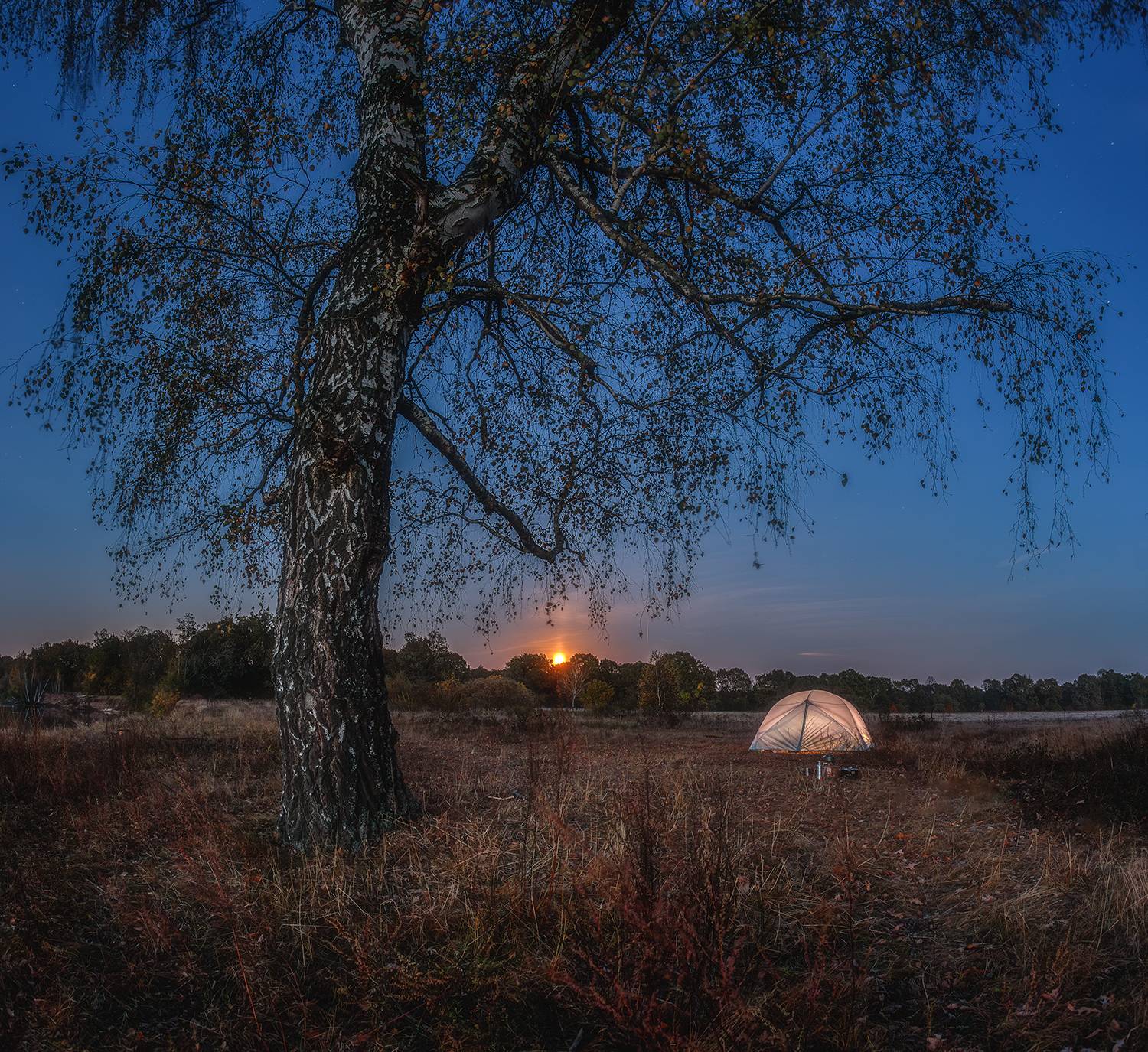 , Андреев Николай