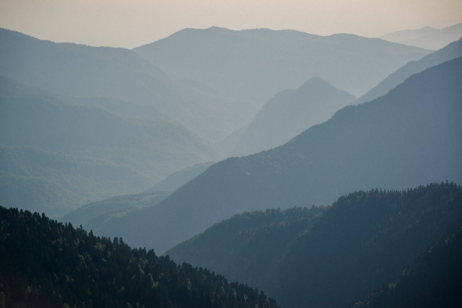 , Сергей Котов