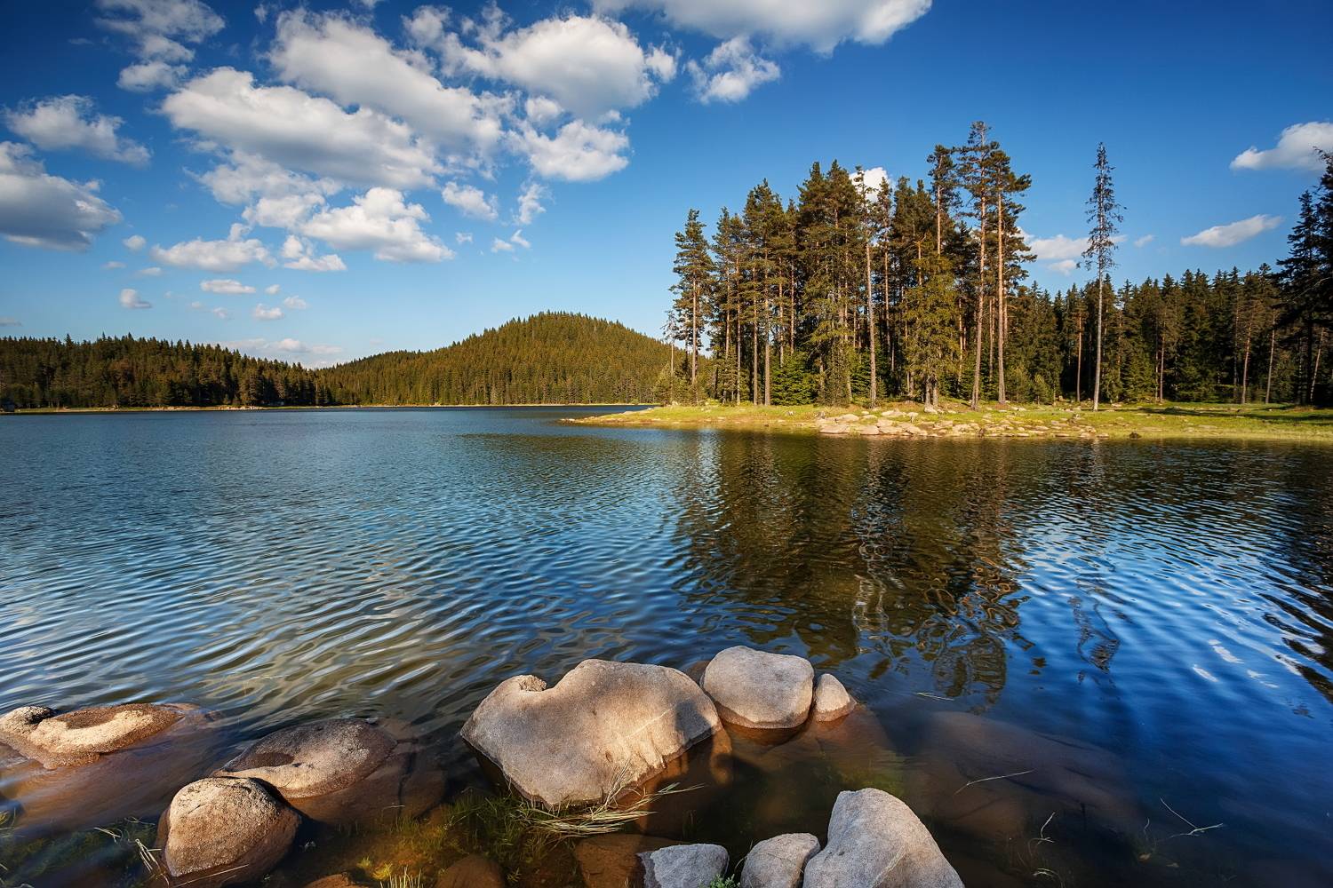 , Александър Сандев