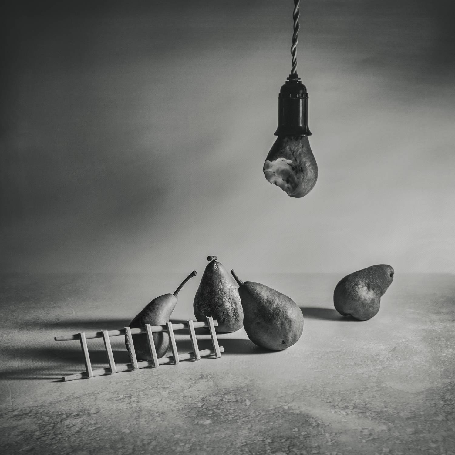 груши,сговор,лестница,тень,свет, Вячеслав Кудиевский