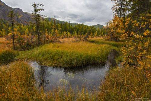 Гейзеровое озеро, Улаганский район, Республика Алтай.