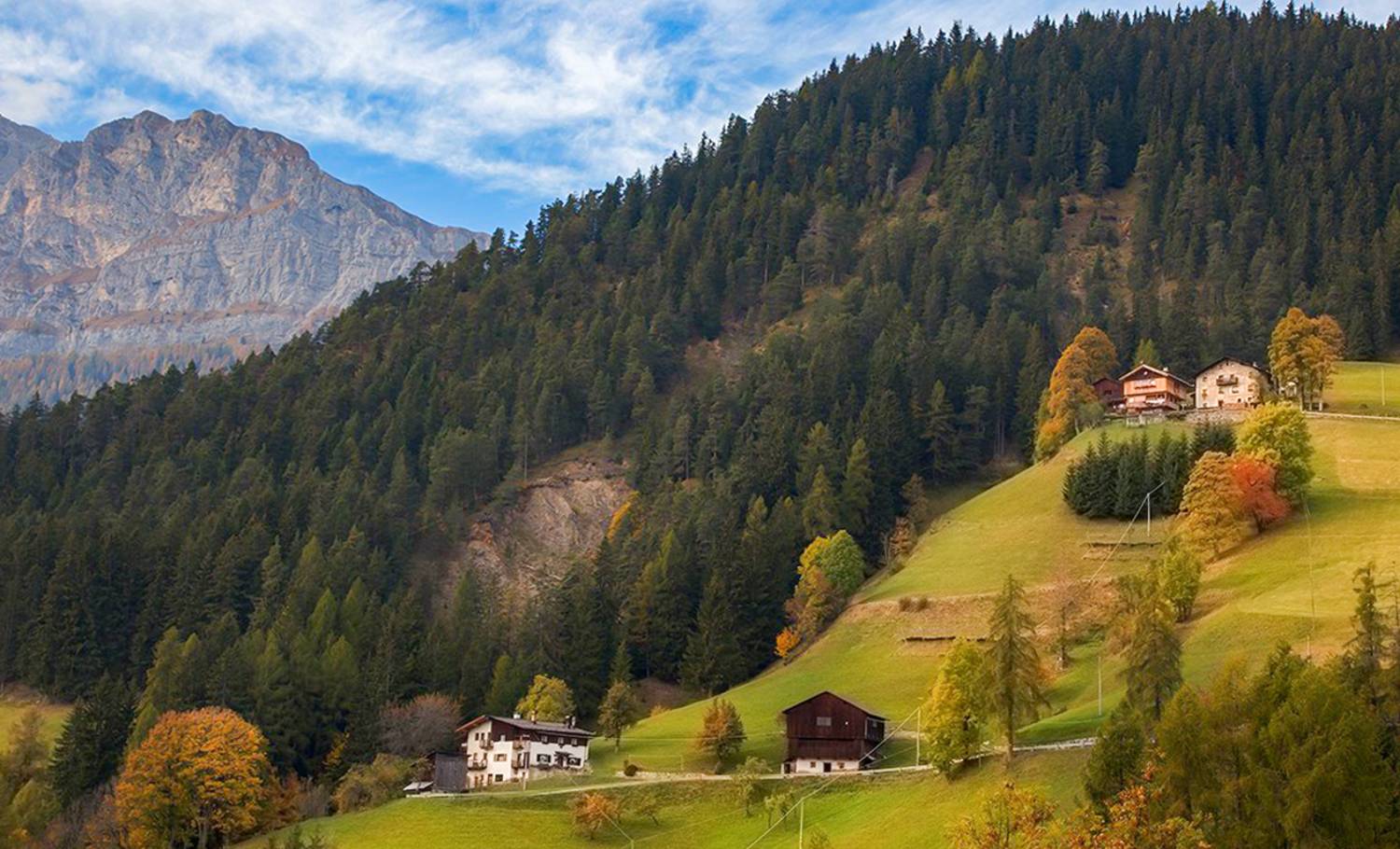 , Игорь Дубровский