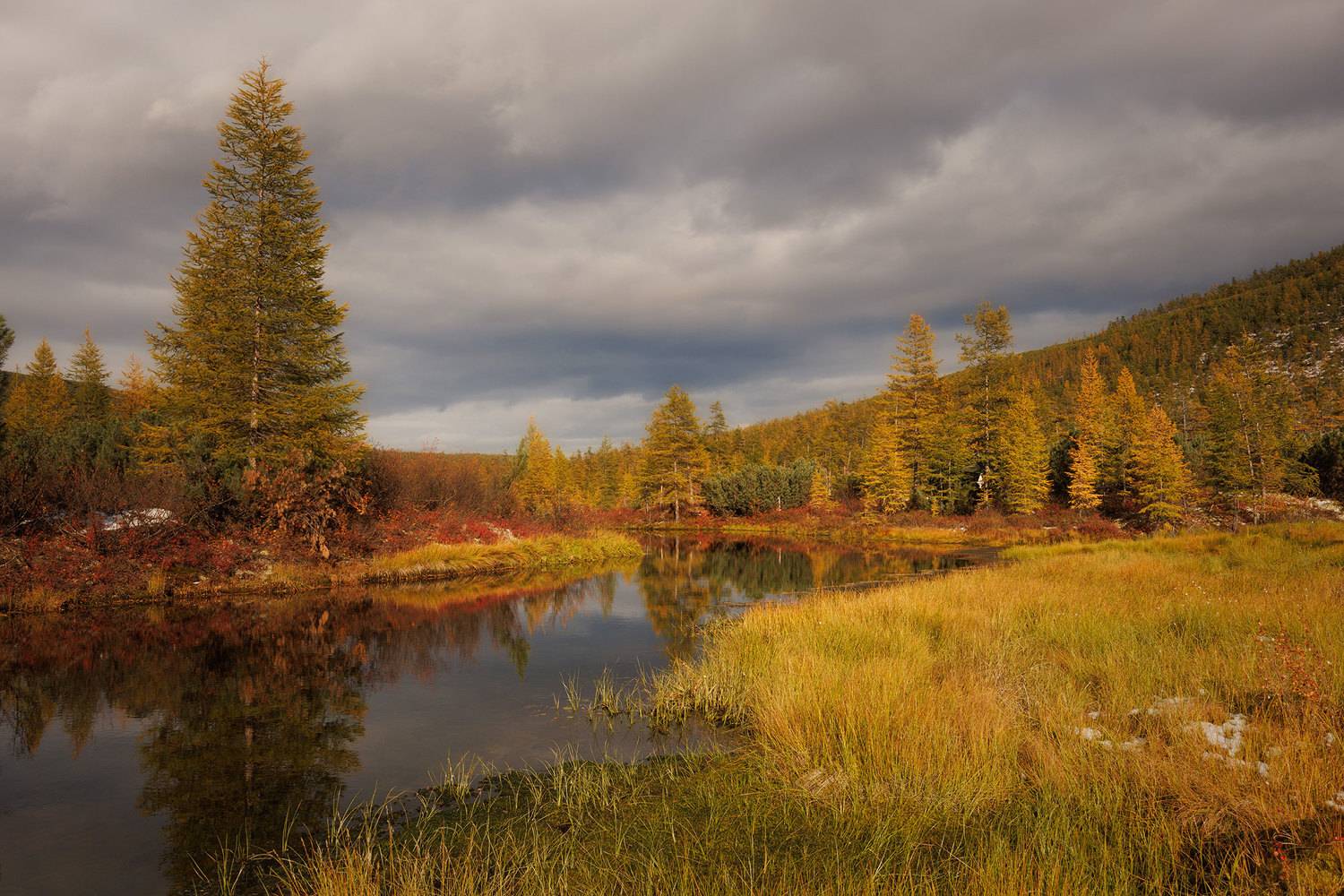 , Морозов Сергей