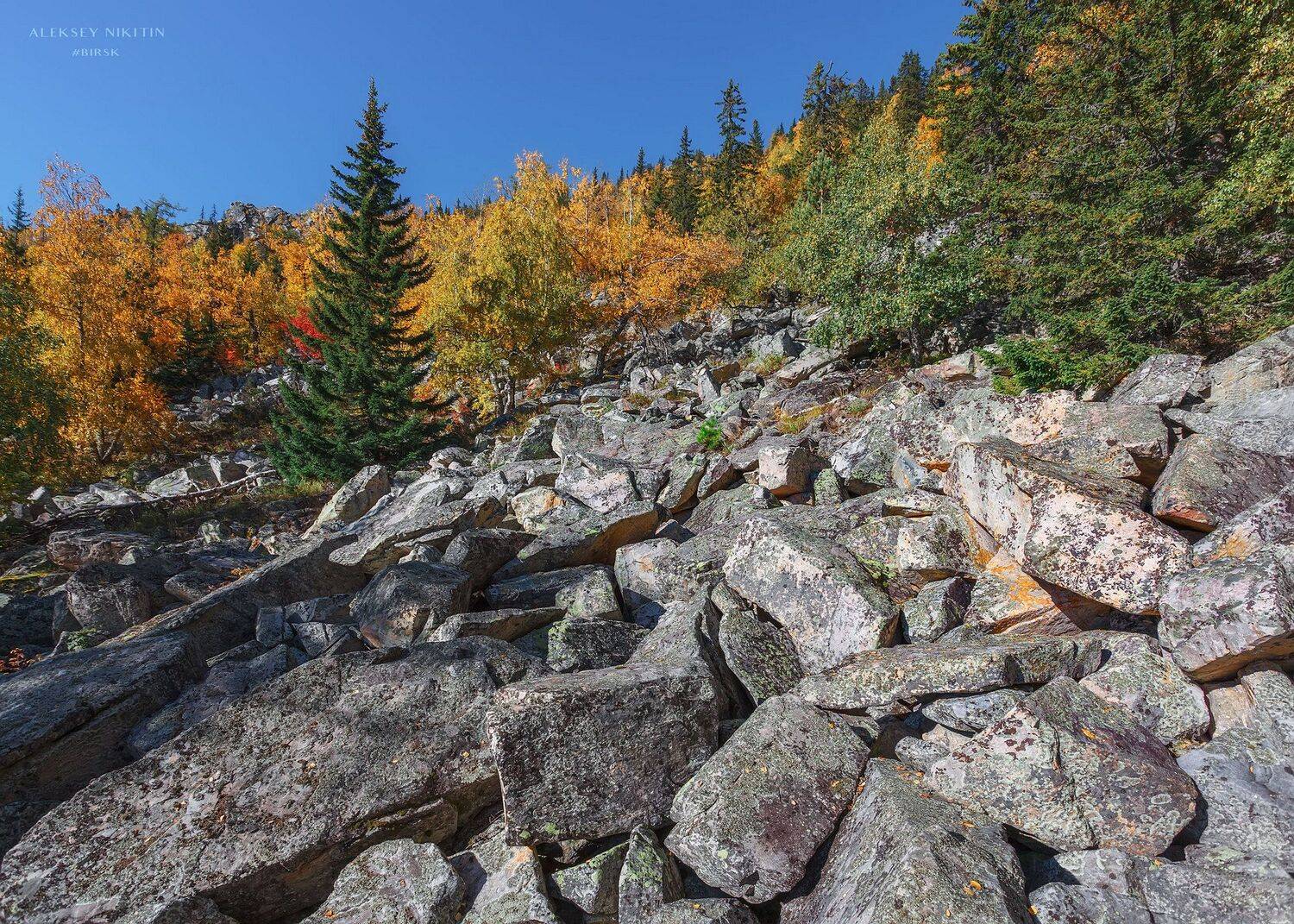 , Никитин Алексей