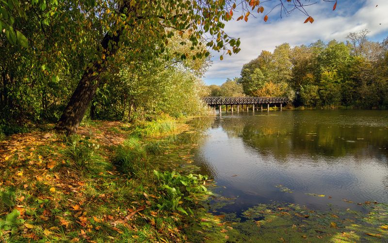 парк, осень, природа, москва Начало осени фото превью