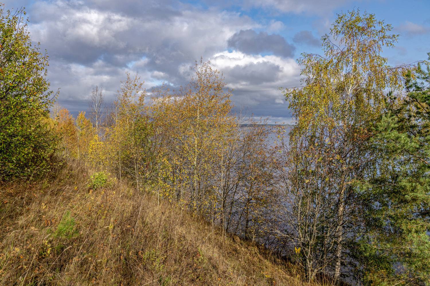 , Шитов Александр