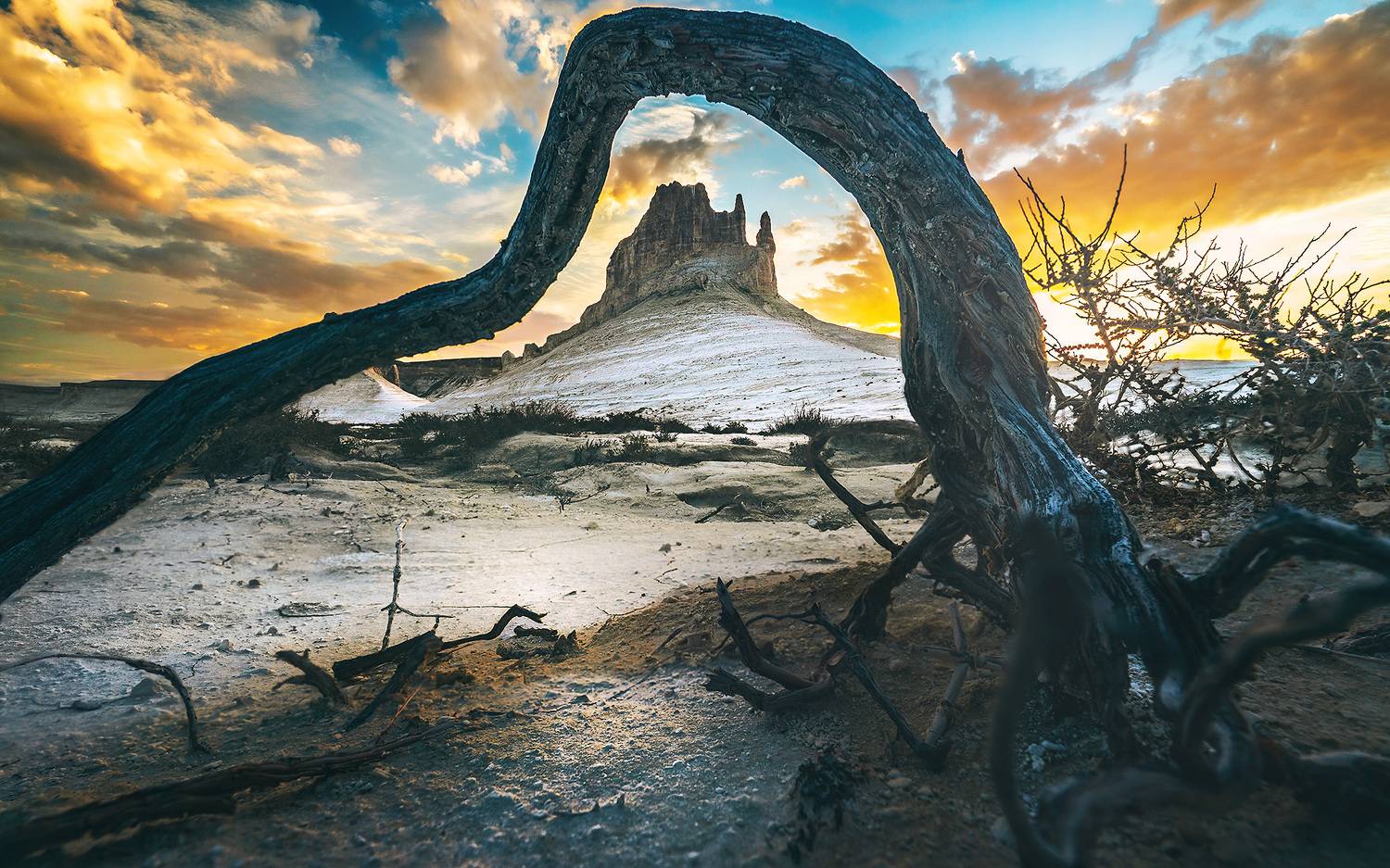 , Алексей Котлов