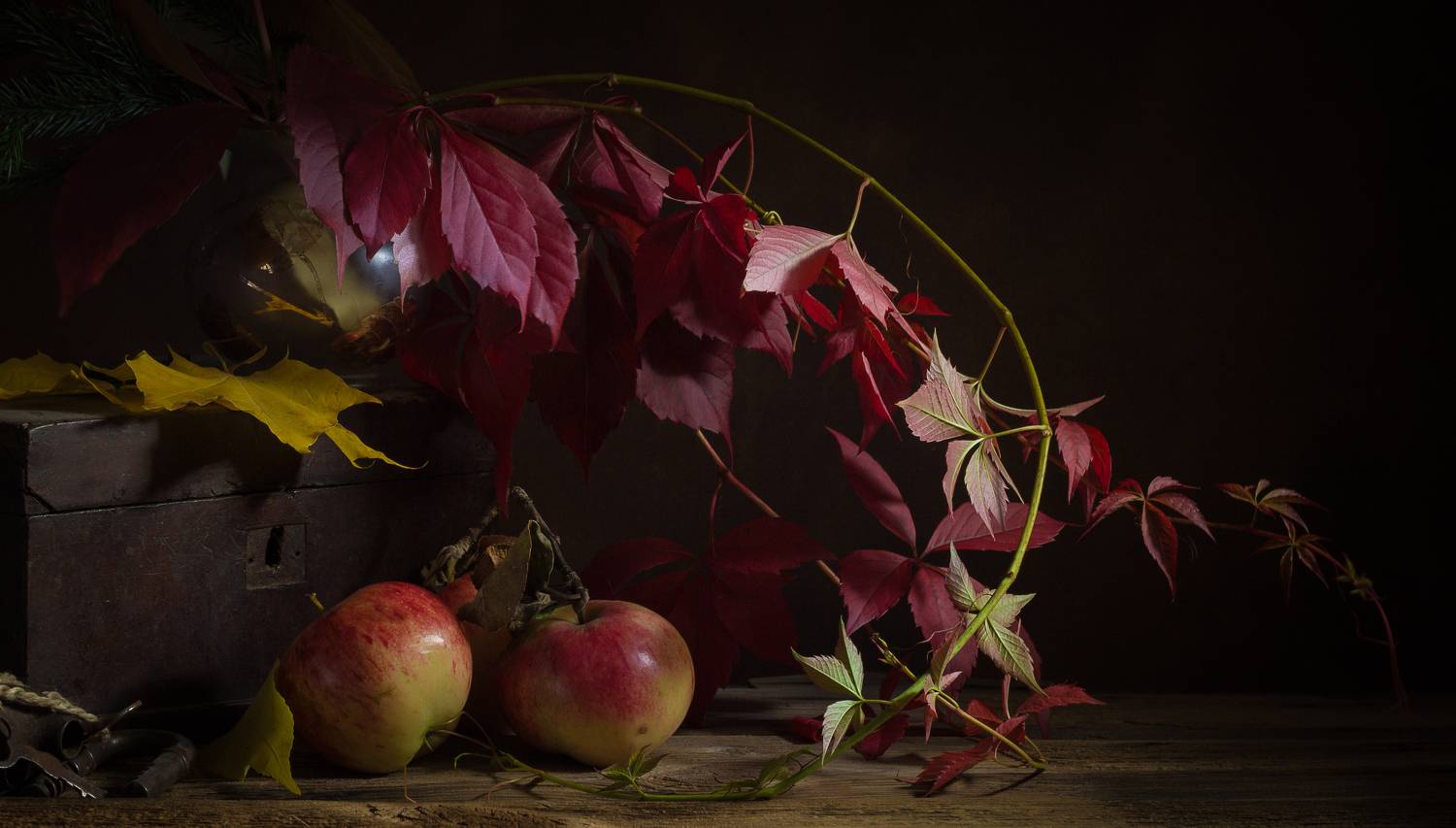 , Хвойнова Елена