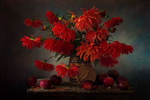 Красные георгины