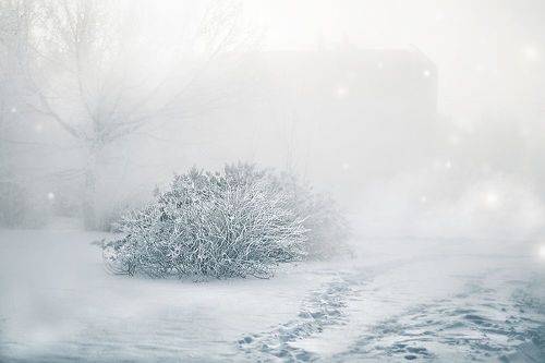 Морозный туман