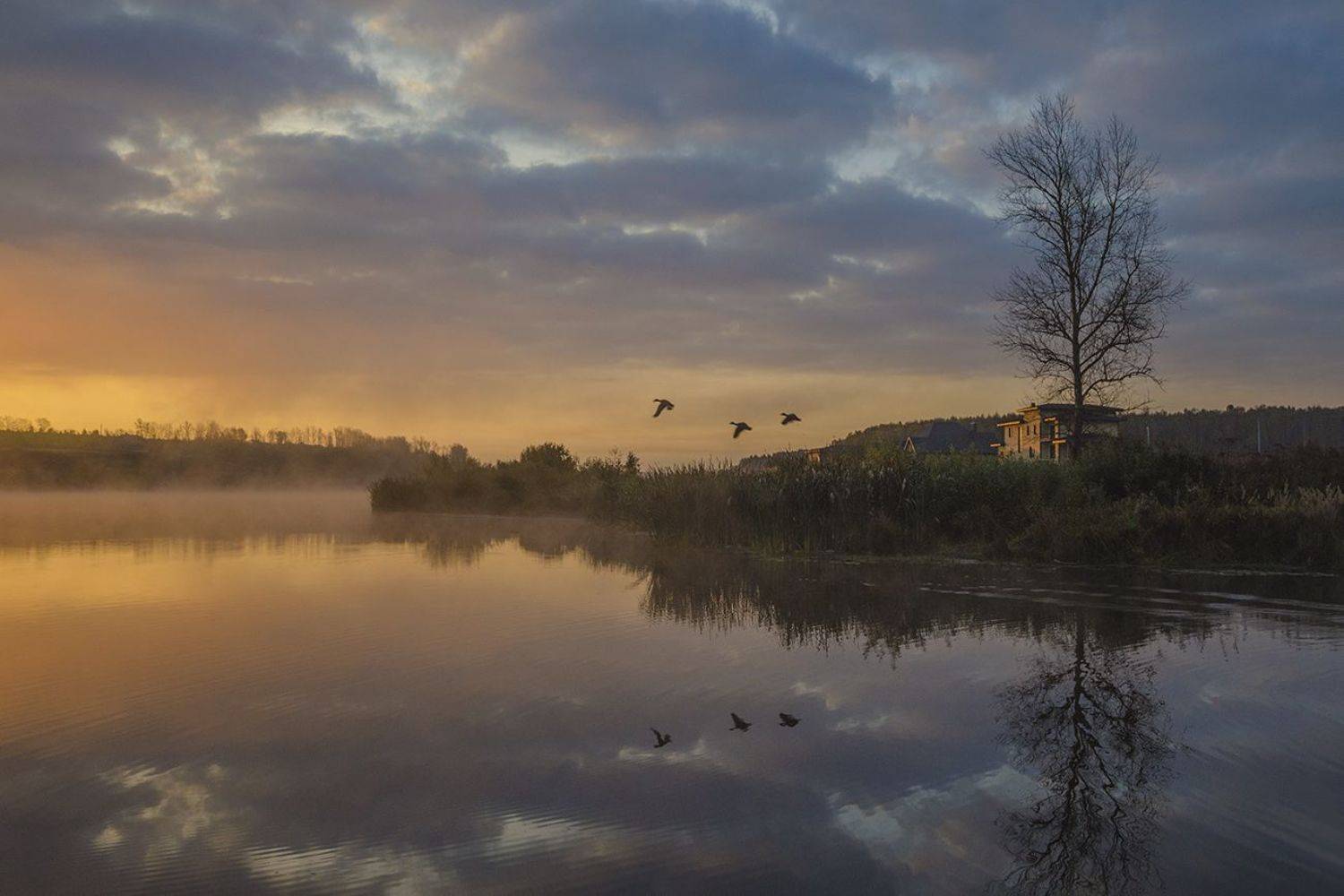 утро, рассвет, архангельское, Михаил Агеев