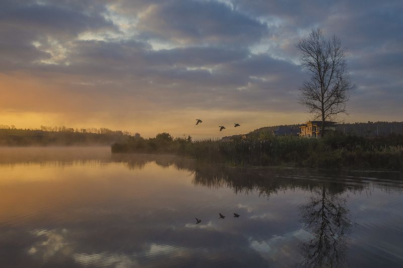Мимолётность рассвета фото превью
