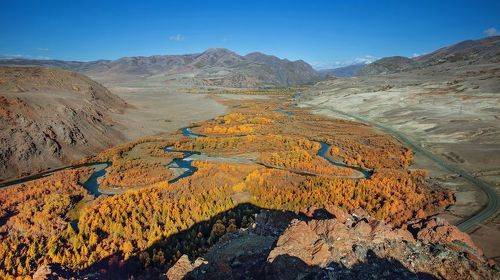 Чует Чуя осени приход!