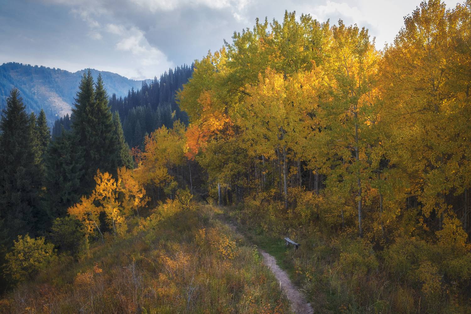 , Светлана Краюшкина