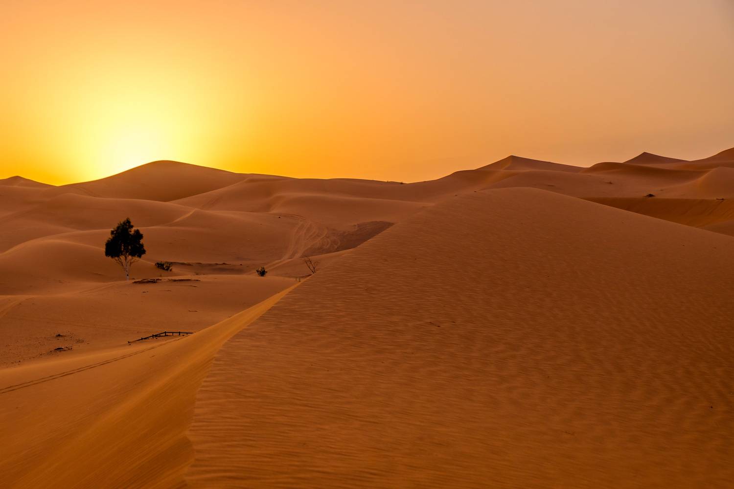 , Jose Pedrero Barrios