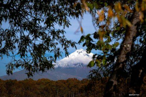 На Камчатке осень.