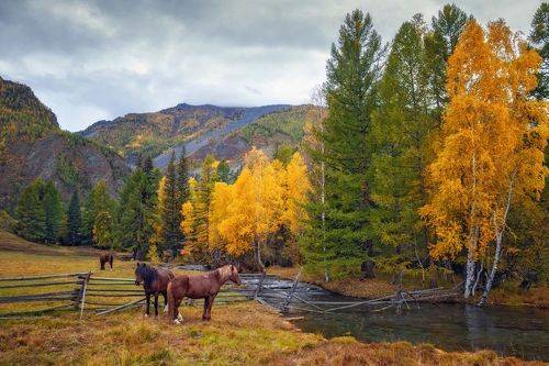 Утро в деревне...