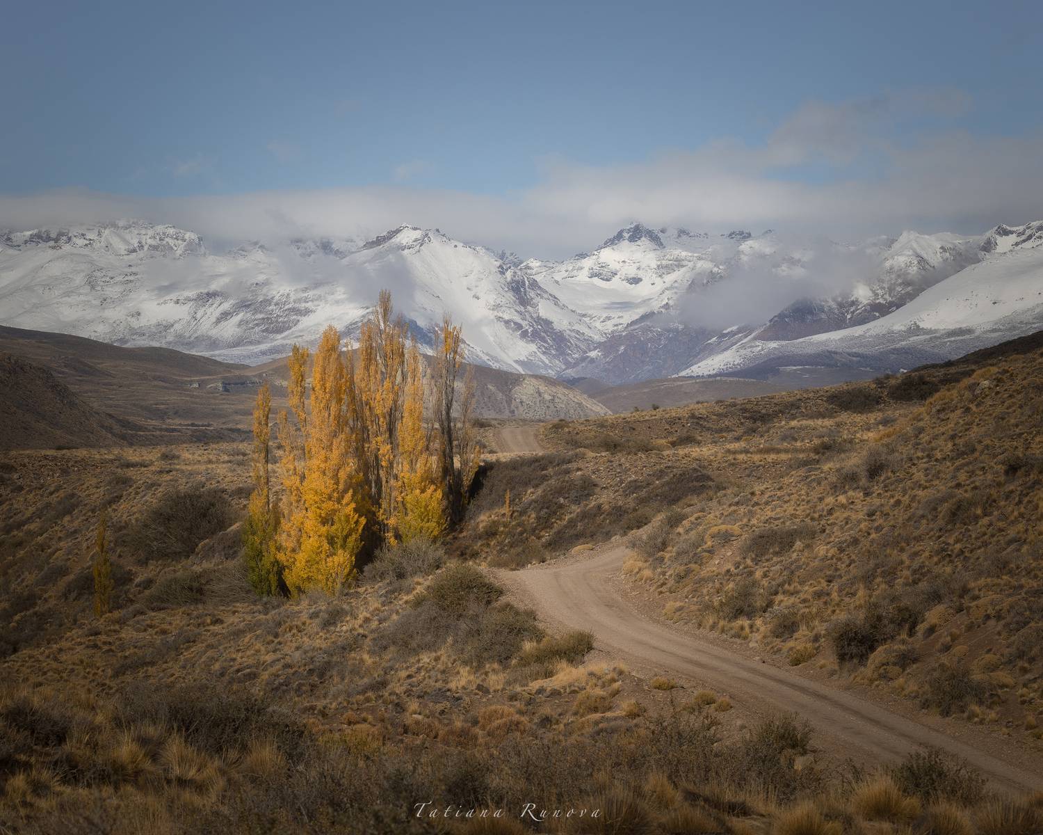 , Рунова Татьяна