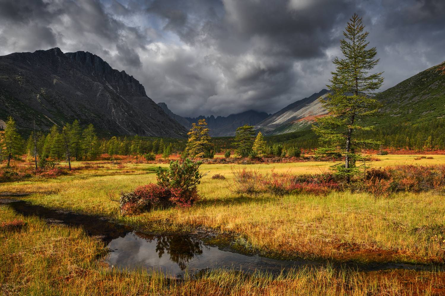 , Максим Евдокимов