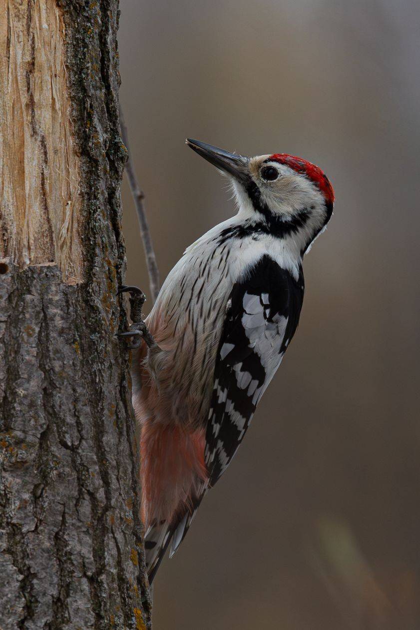 , Гильманов Артур
