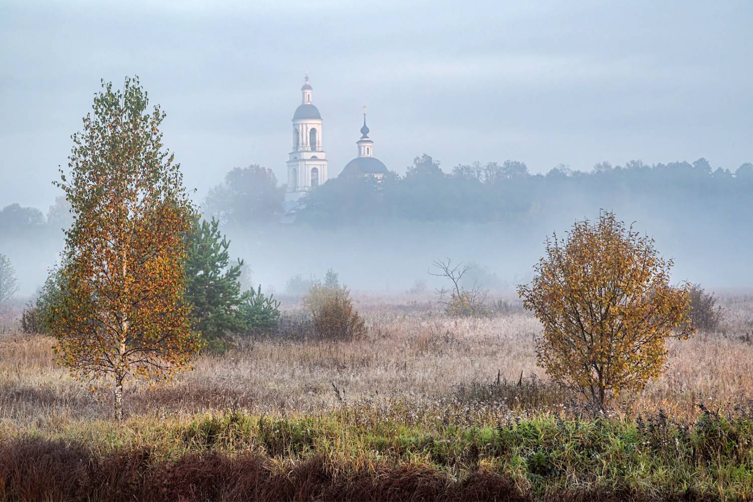 , Евгений Ерохин
