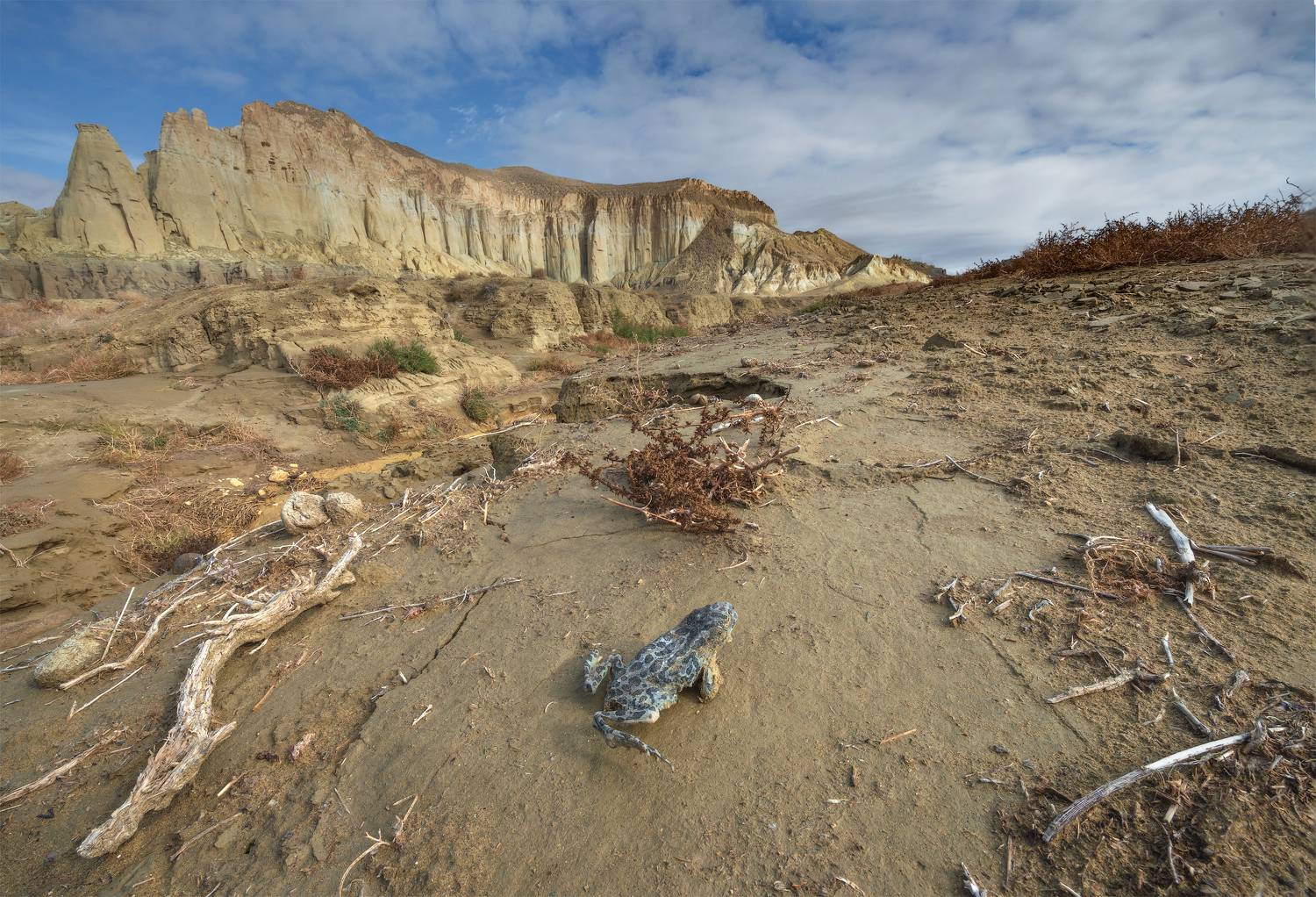 казахстан, мангистау, айракты, Кутыгин Эдуард