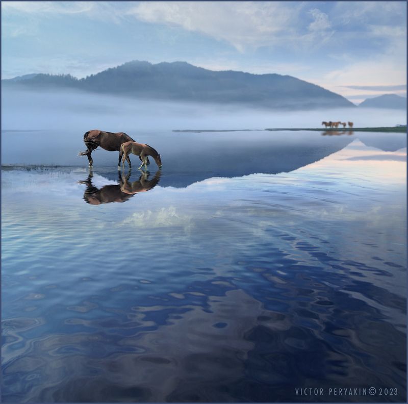 Картинка мирной жизни... фото превью
