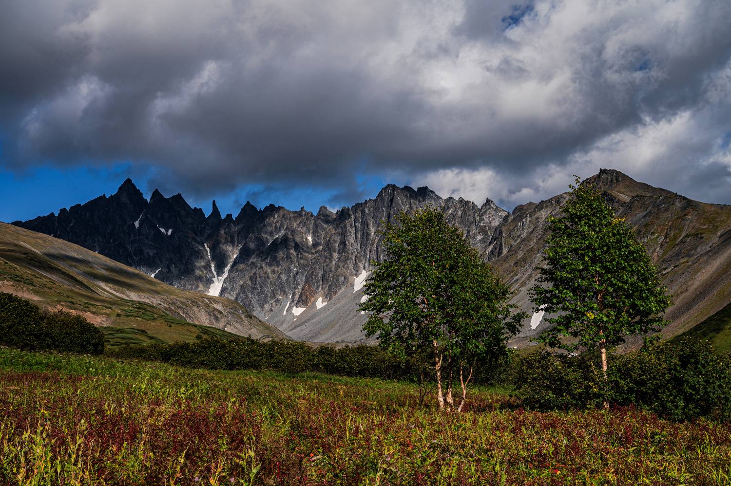 , Александр Мухин