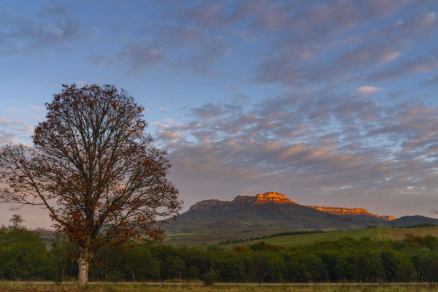, Юлия Мальцева
