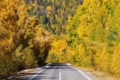 Дорога в осень.