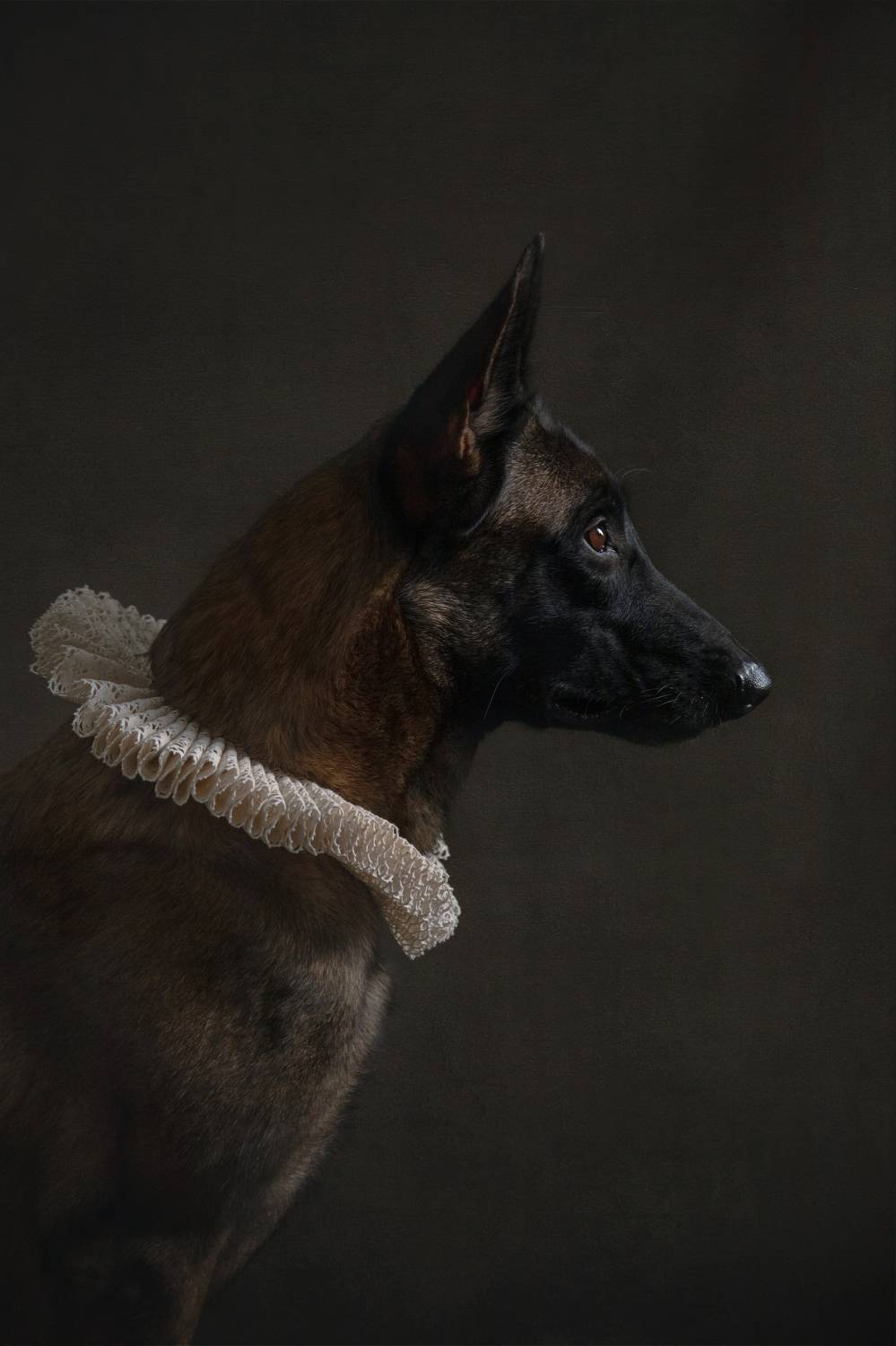 , Ященко Анастасия