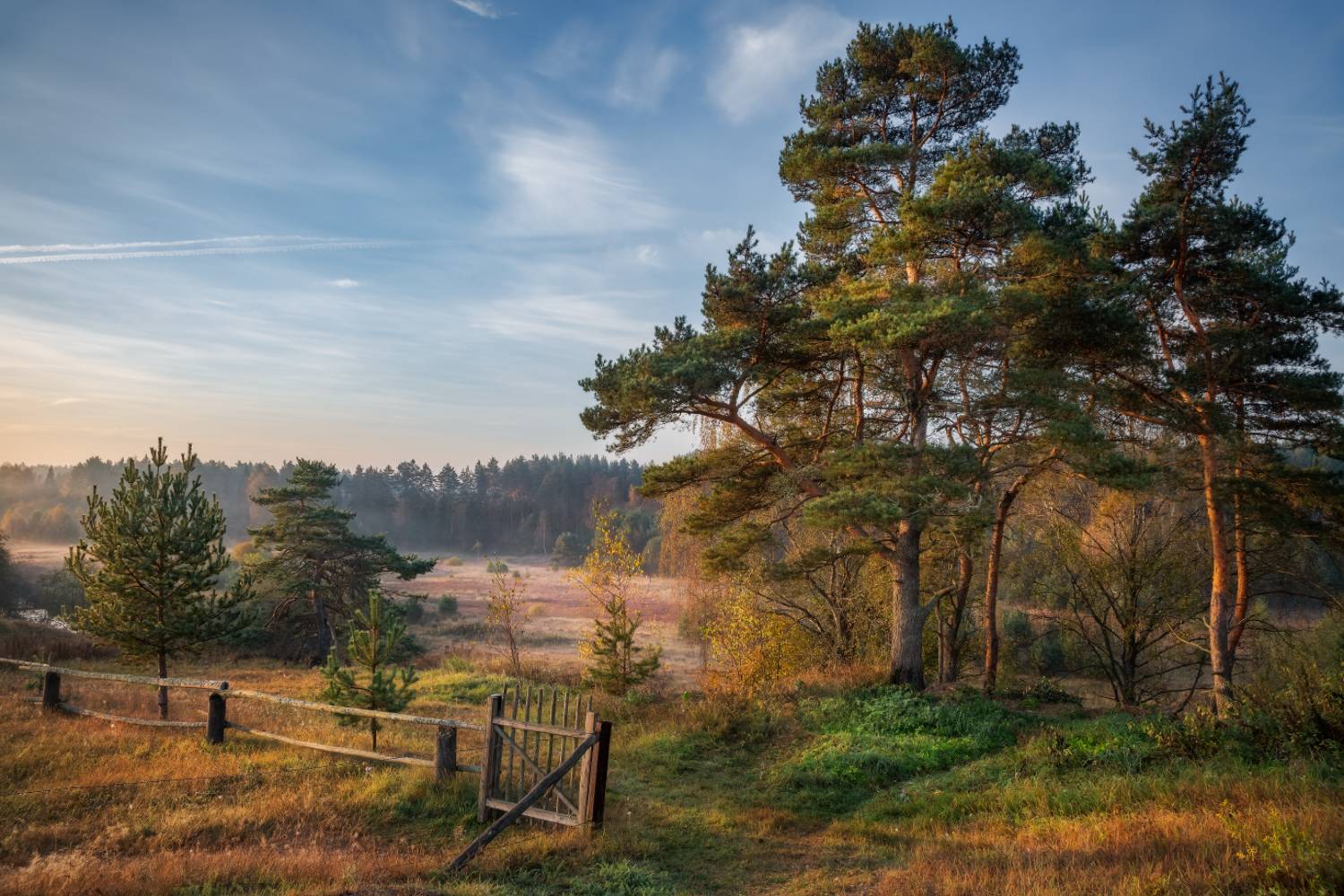 , Евгений Ерохин