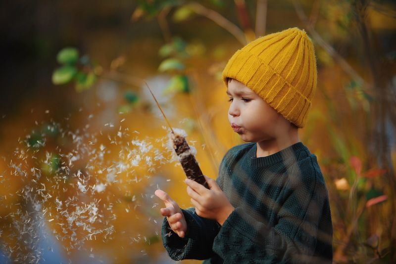 осень, камыш, дети, kids  фото превью